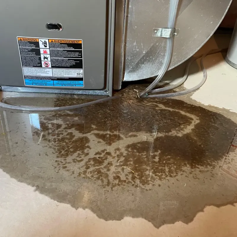 Appliance Leak Cleanup in Hagerstown, IN